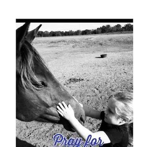 Meet your Posher, Geneva